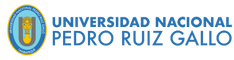 universidad pedro ruiz gallo